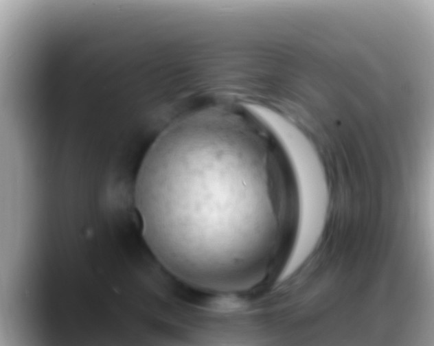 X0000088650425200706011224