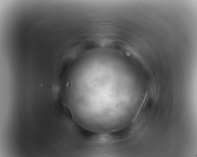 X0000088650427200706011224