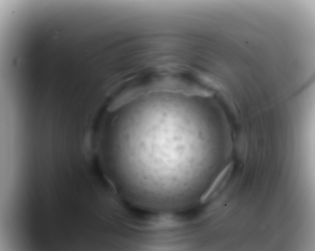 X0000088650428200706011224