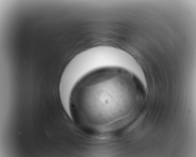 X0000088650429200706011224