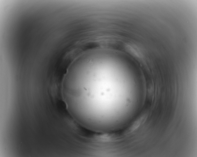 X0000088650430200706011224