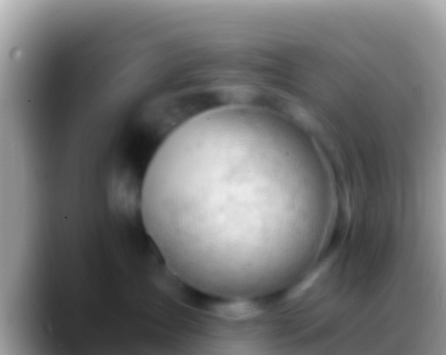 X0000088650431200706011224