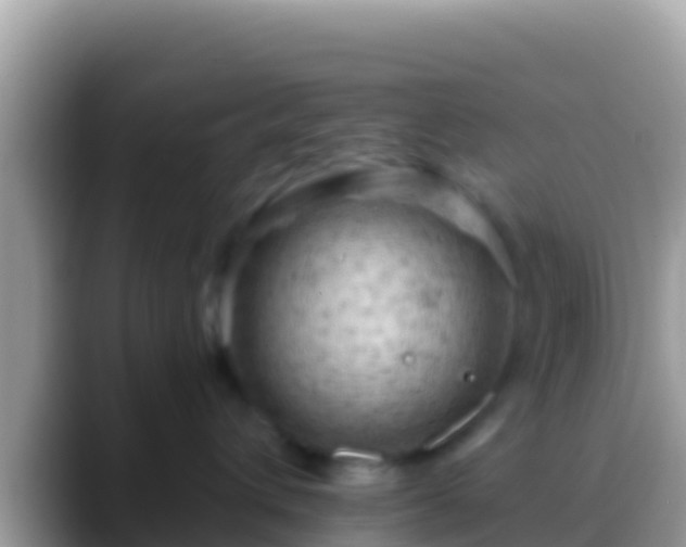 X0000088650432200706011224