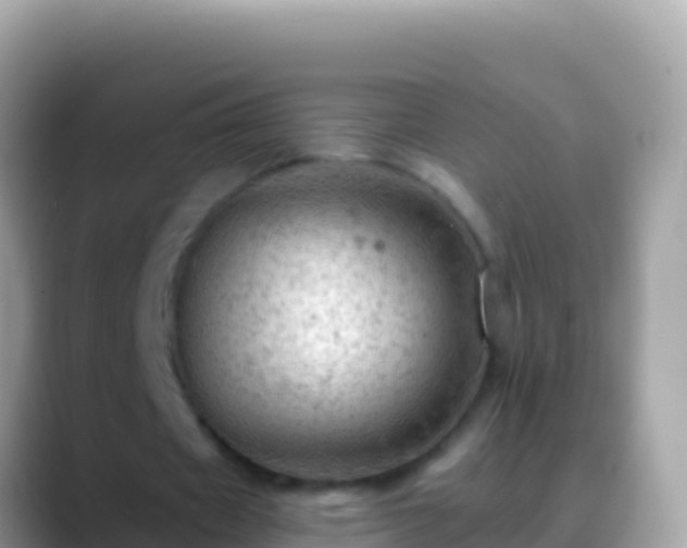 X0000088650433200706011224