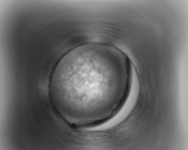 X0000088650434200706011224