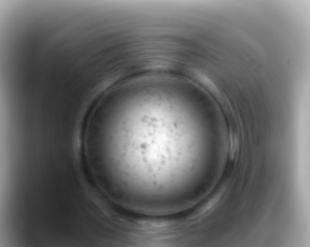 X0000088650435200706011224