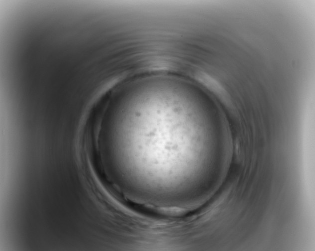 X0000088650436200706011224