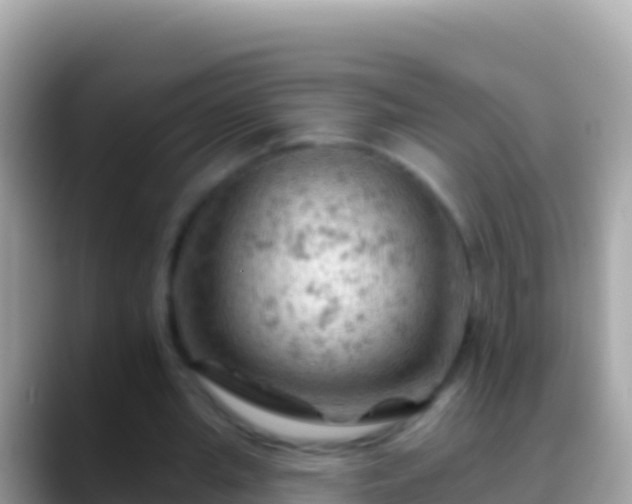 X0000088650437200706011224