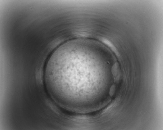 X0000088650439200706011224