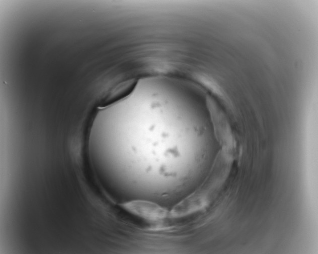 X0000088650440200706011224