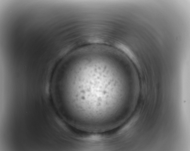 X0000088650441200706011224