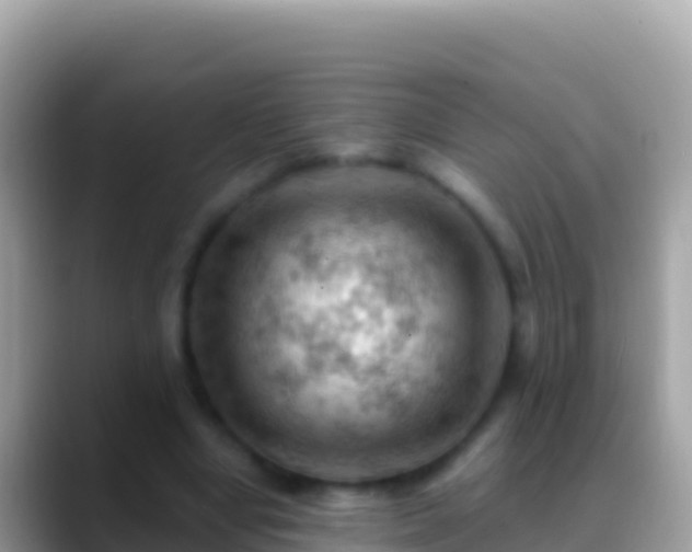 X0000088650442200706011224