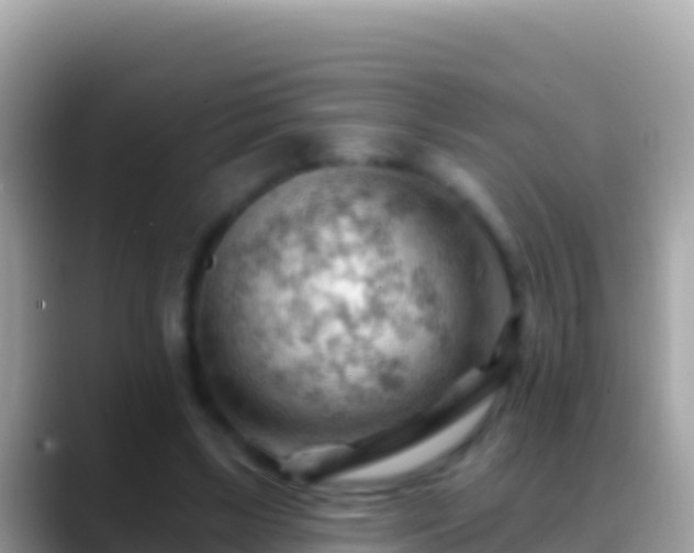 X0000088650443200706011224