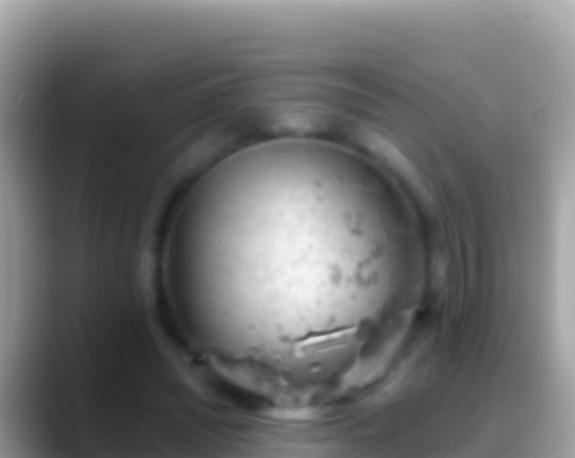 X0000088650444200706011224