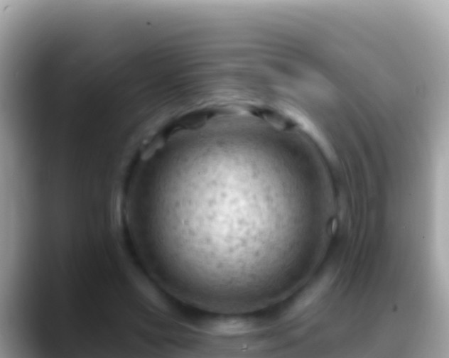 X0000088650445200706011224