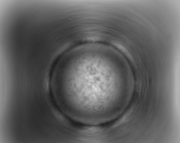 X0000088650446200706011224