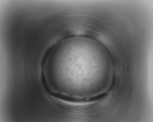 X0000088650447200706011224