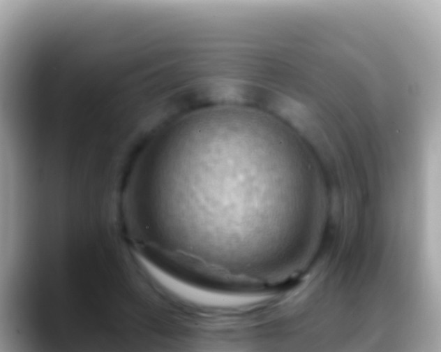 X0000088650449200706011224