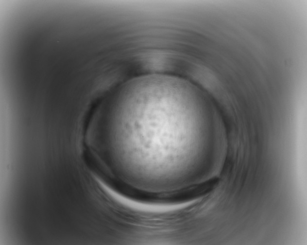 X0000088650450200706011224