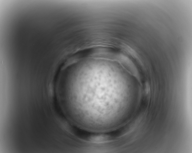 X0000088650452200706011224