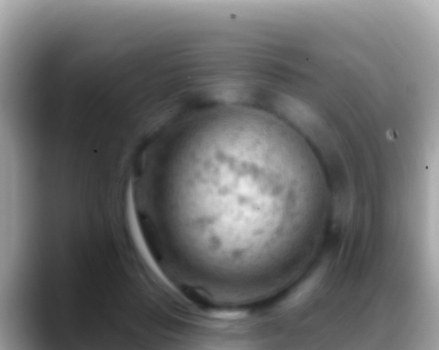 X0000088650453200706011224