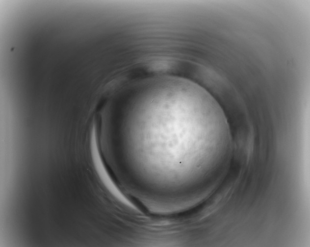 X0000088650454200706011224