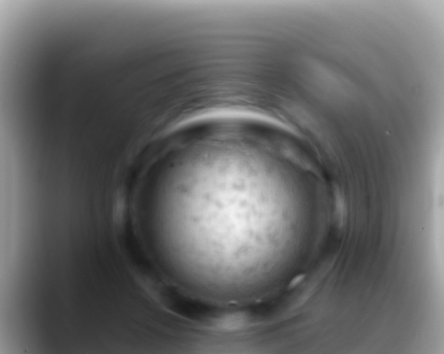 X0000088650456200706011224