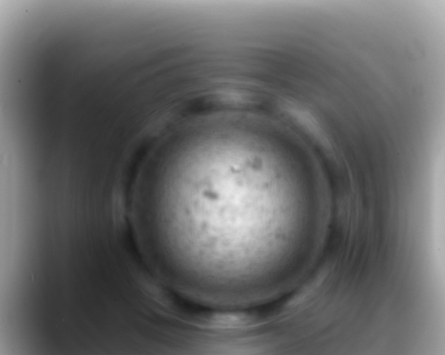 X0000088650457200706011224