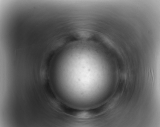 X0000088650460200706011224