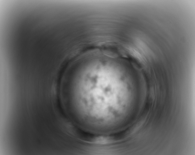 X0000088650461200706011224