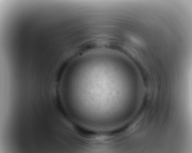 X0000088650462200706011224