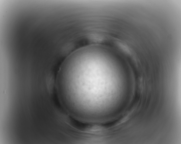 X0000088650463200706011224