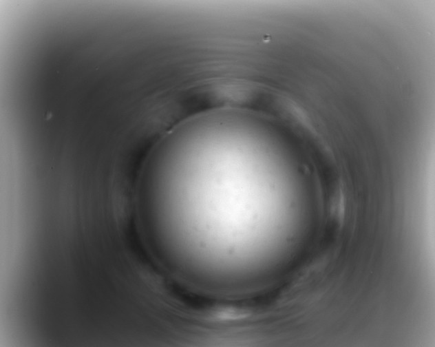 X0000088650464200706011224