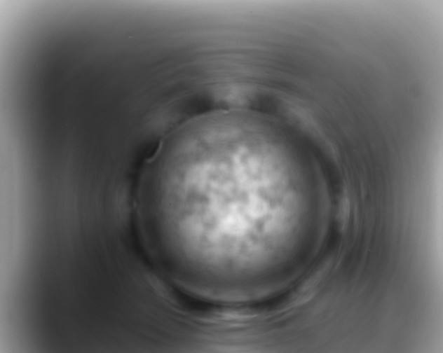 X0000088650466200706011224