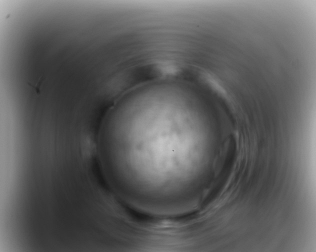 X0000088650467200706011224