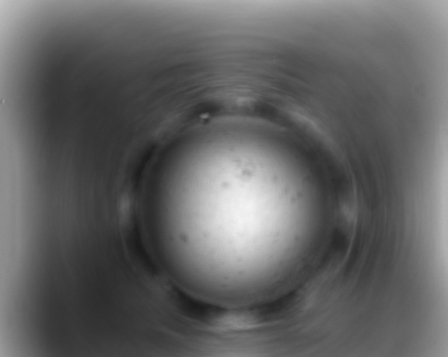 X0000088650468200706011224