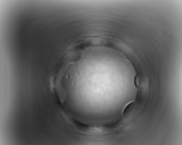 X0000088650469200706011224