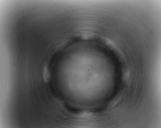 X0000088650471200706011224