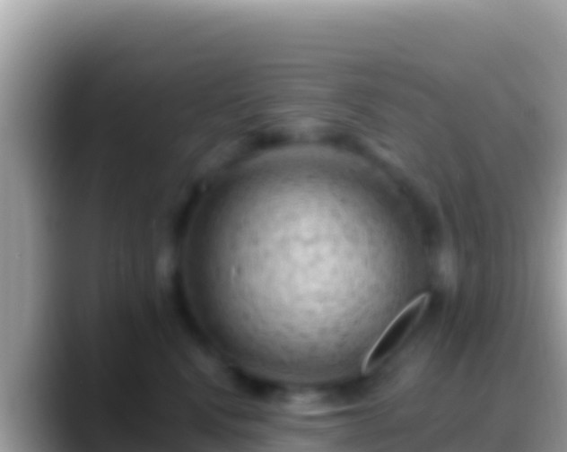 X0000088650472200706011224