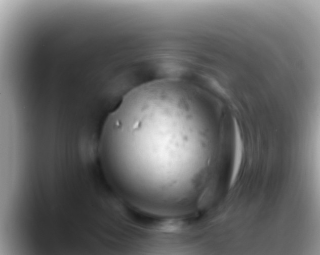 X0000088650474200706011224