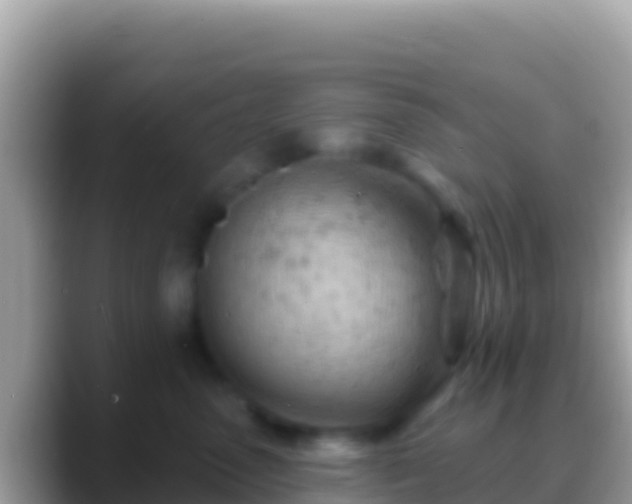 X0000088650475200706011224