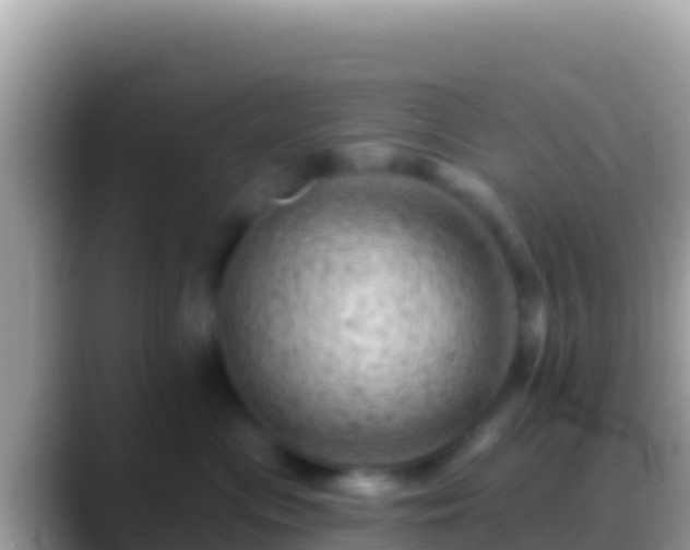 X0000088650477200706011224