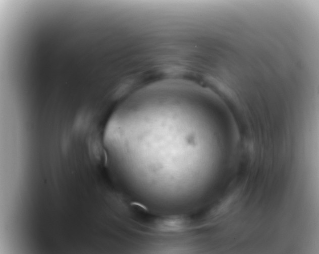 X0000088650479200706011224