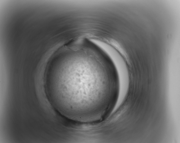 X0000088650481200706011224