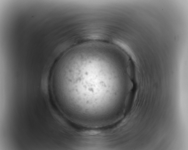 X0000088650482200706011224