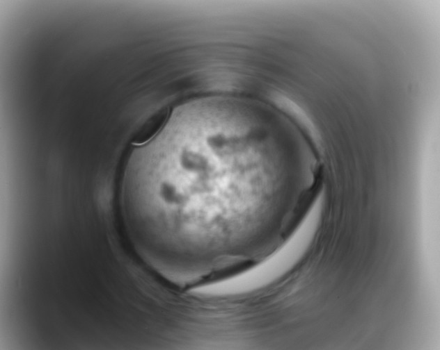 X0000088650483200706011224