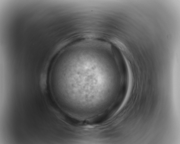 X0000088650484200706011224