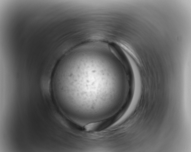 X0000088650485200706011224