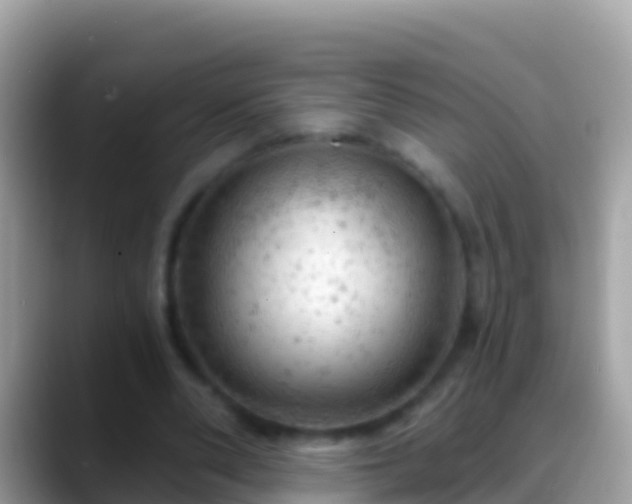 X0000088650486200706011224