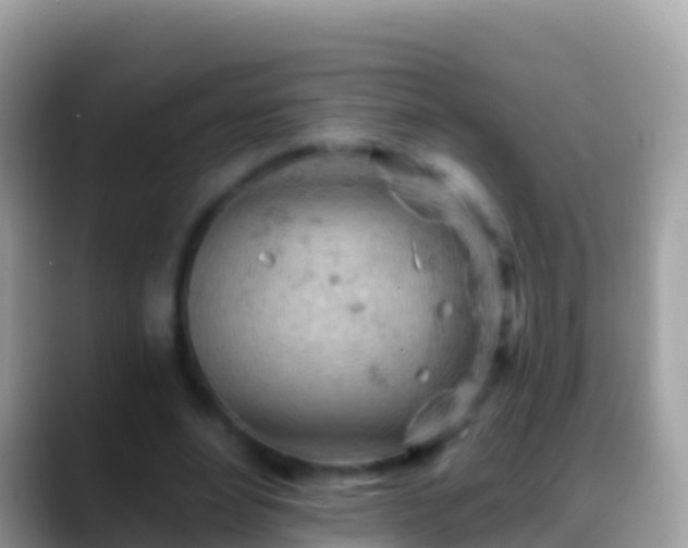 X0000088650488200706011224